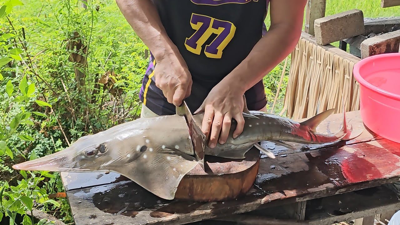 BBQ AT ADOBO SA GATA NA MGA KAKAIBANG ISDA ANG NILUTO NAMIN NILA @tolbuloymukbang |Team AgustinTV