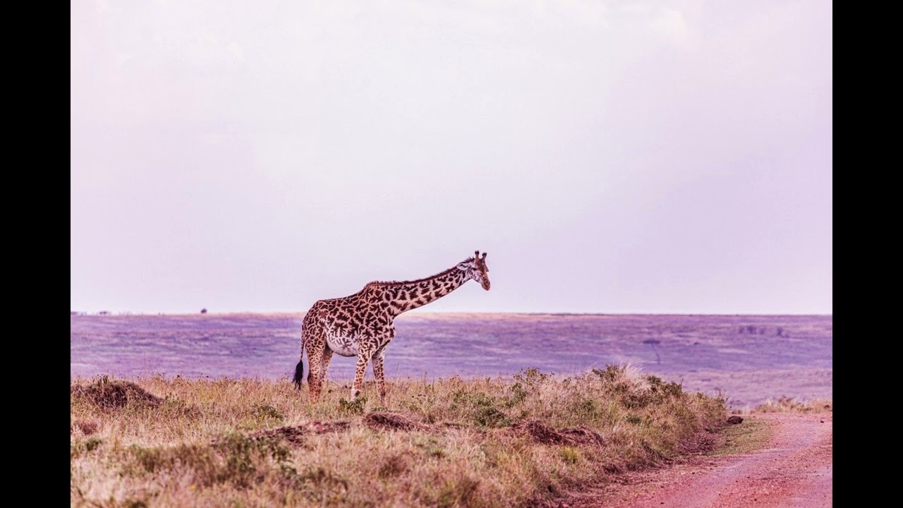 Musik f&uuml;r mentale Pause