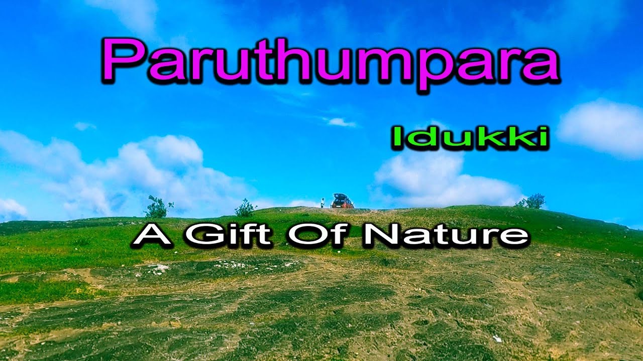 A Gift Of Nature - Paruthumpara - Idukki - Kerala - India.