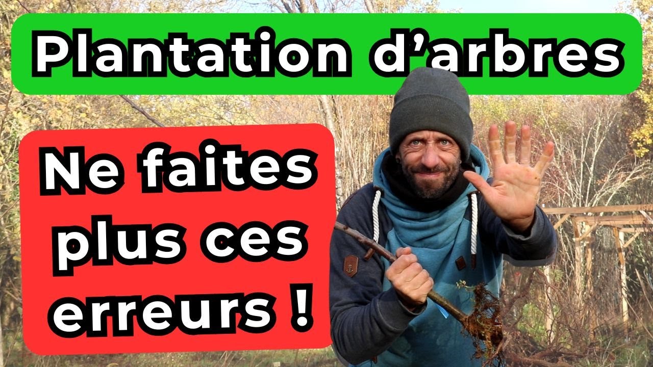 3 erreurs à éviter lorsque vous plantez des arbres. Arrêtez ça !