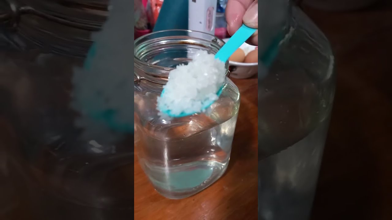 Cara mudah menetaskan artemia / How to hacth artemia egg, my version, 