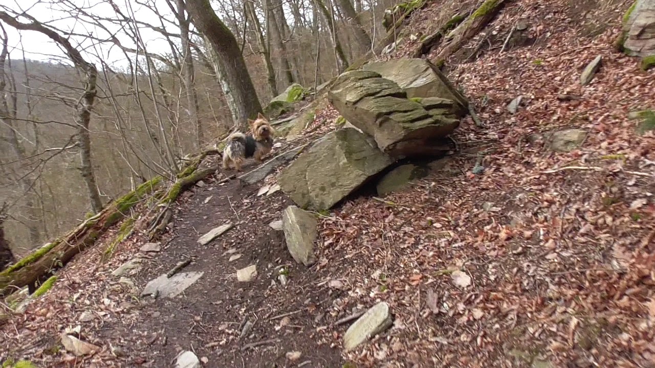 Virtual HIKE: SMUGGLERS Trail | PAŠERÁCKÁ stezka