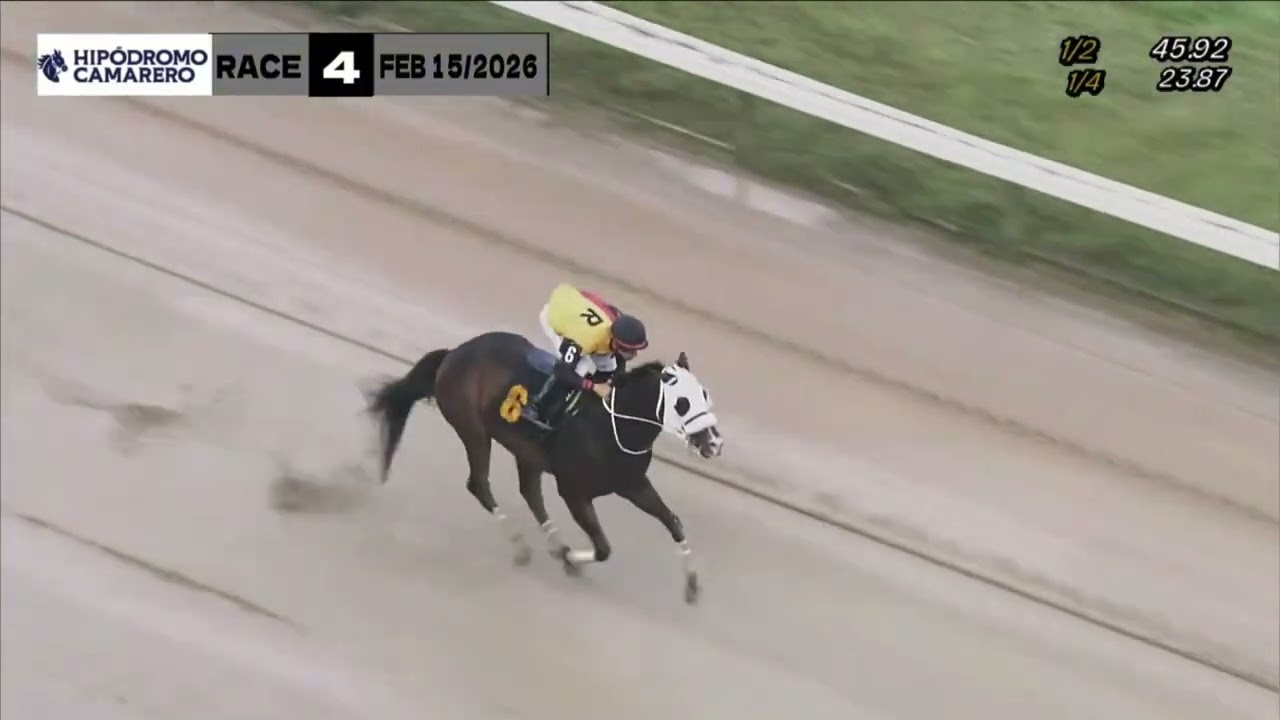 Resultados 15 febrero 2026 #hipódromocamarero  #horse #carrerasdecaballos #caballos 