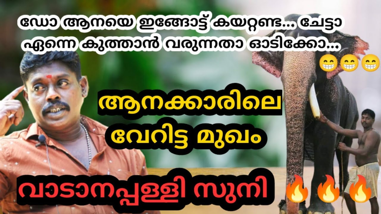 ചേട്ടാ ആനയെ ഇങ്ങോട്ട് കൊണ്ട് വരല്ലേ... അതു ഞാൻ കൊണ്ട് വന്നതല്ല എന്നെ കുത്താൻ വരുന്നതാ suni