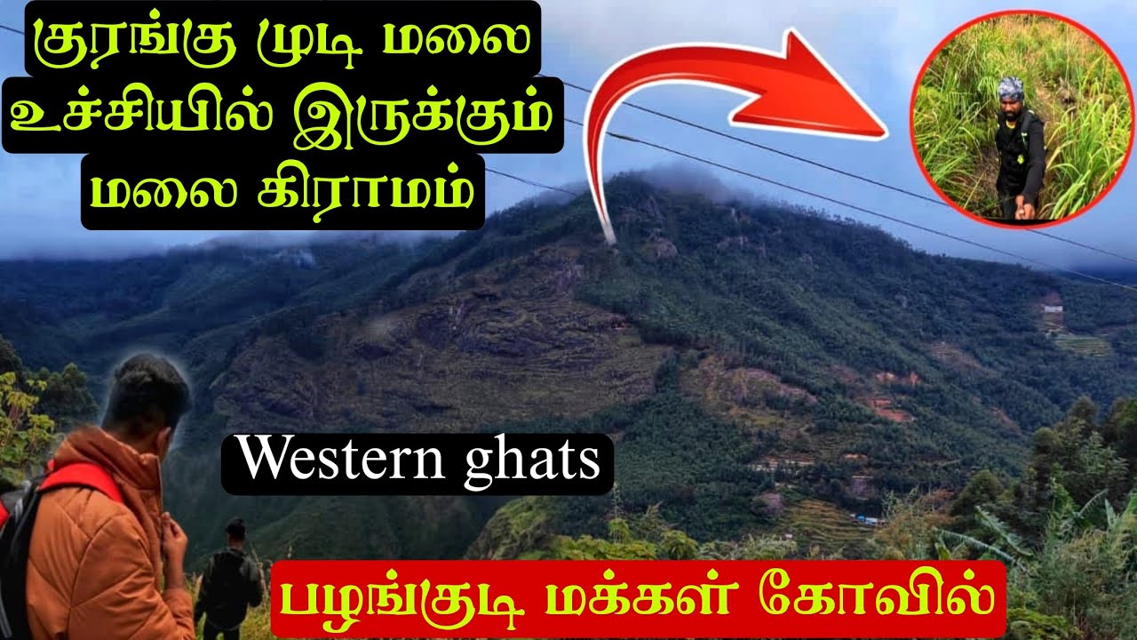 குரங்கு முடி மலை உச்சியில் 15 வீடுகள் மட்டும் உள்ள பழங்குடியினர் கிராமம்|sadayancombai part - 2