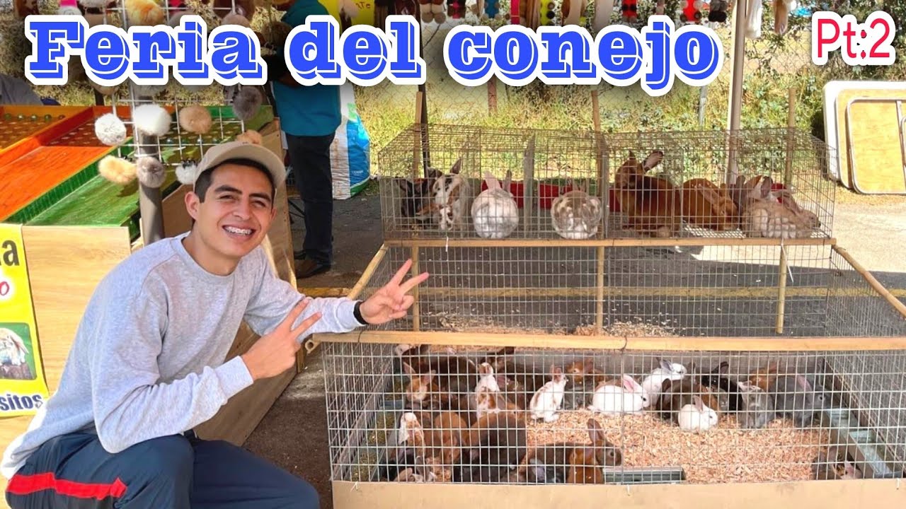 FERIA DE CONEJOS 