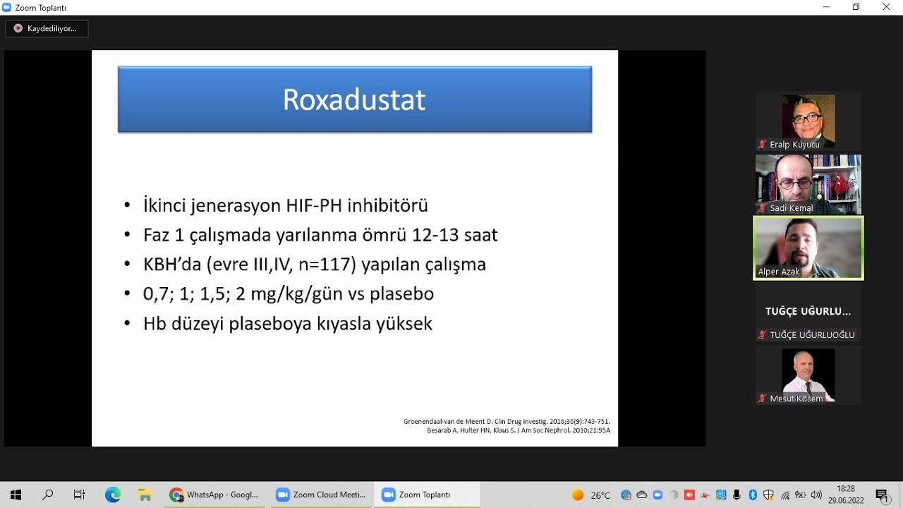 GÜNCEL RENAL ANEMİ TEDAVİSİ