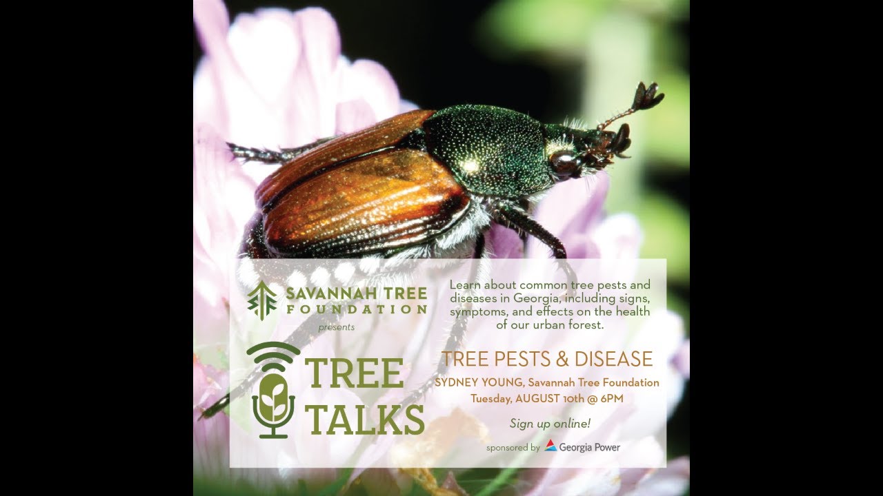 Tree Talks - Tree Pests and Disease