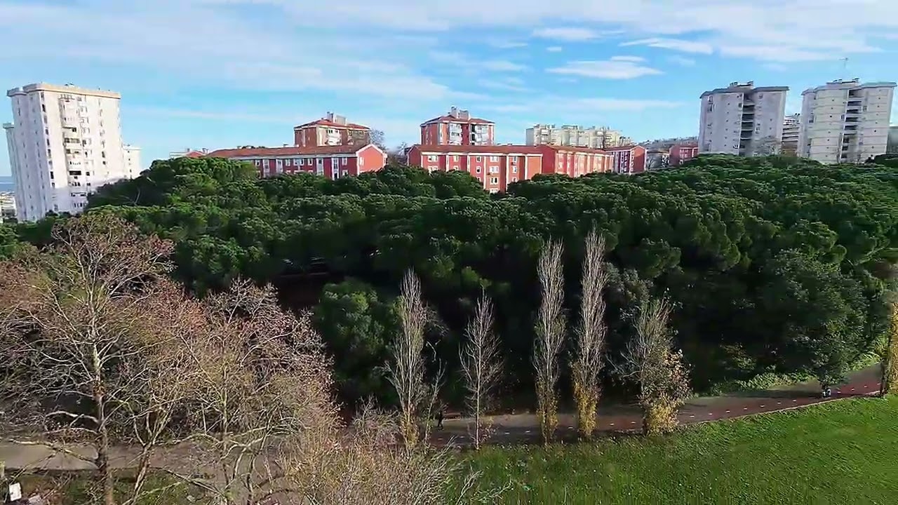 My first fly  with  drone Dji neo 2 goggles n3￼￼