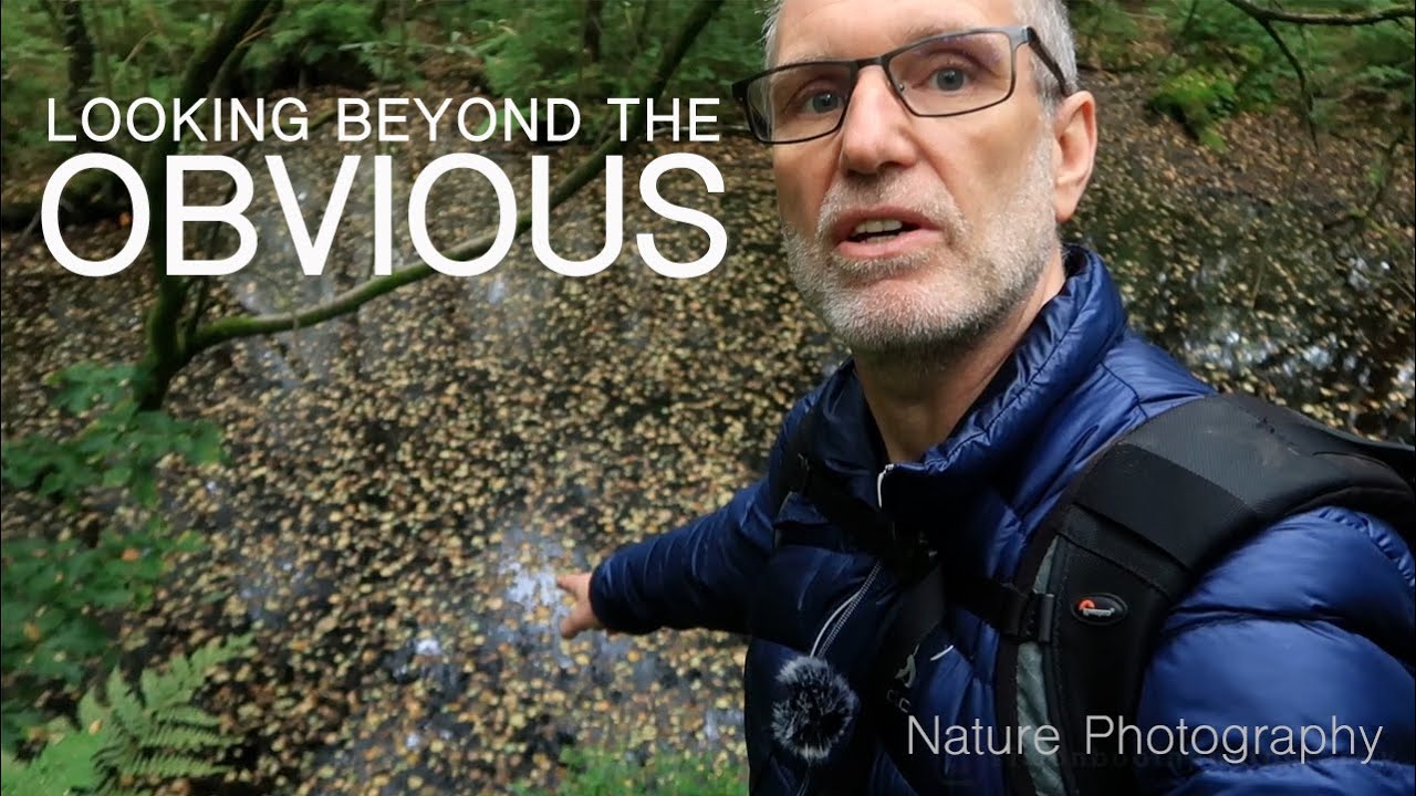 Looking beyond the obvious | Nature Photography