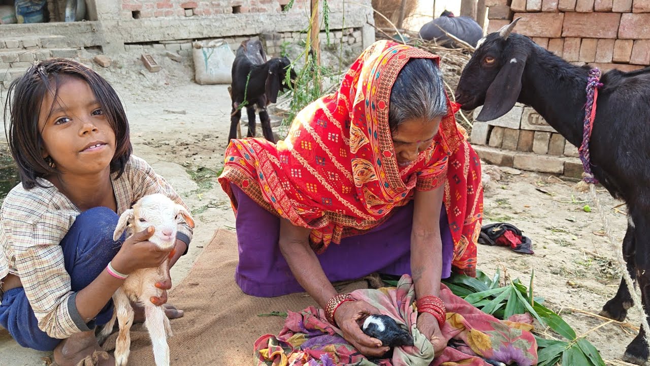 हमारे घर का वीडियो🏠🙏🏡 myhomevlogs, #villagelifevlog, #vinayviral72 #vinayviral, #myhomevideo, #new