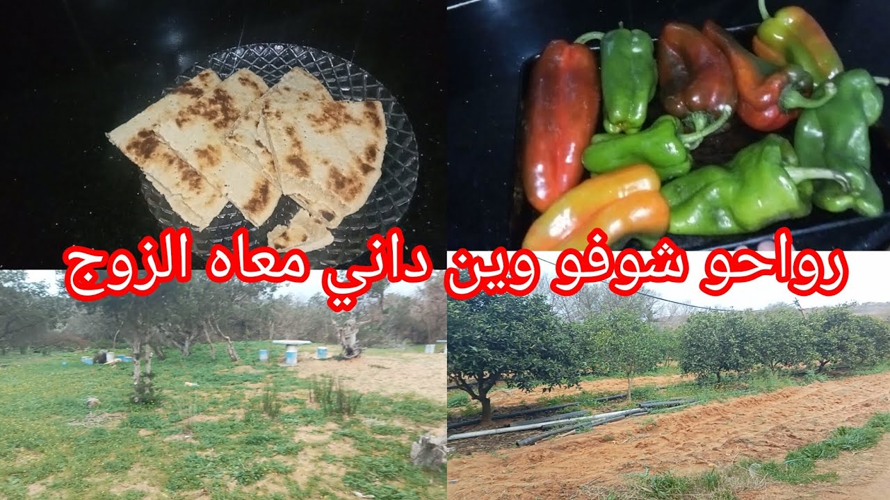 تحضيرات رمضان 🌙🇩🇿 2026مزالنا متواصلين مع التحضيرات رمضان ✅💯 وخرجت قلعت ضيقت الروح 🇩🇿👍
