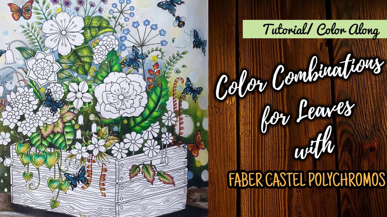 flower box colour along 🌷✨🪻\ world of flowers by johanna basford - part 1