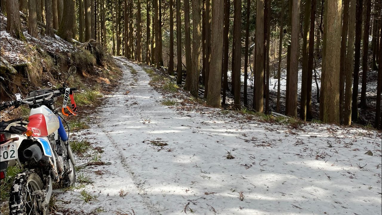 静岡県　林道北箱根山支線⓸ 2026年2月XR250