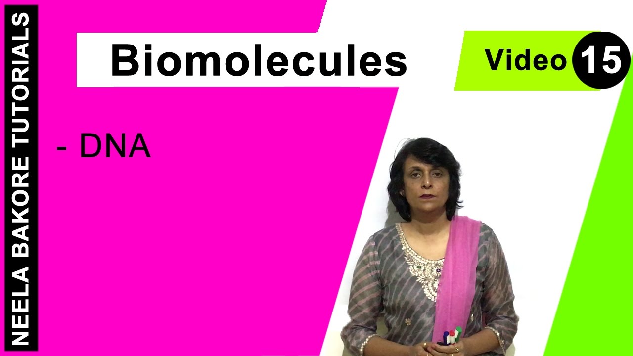 Biomolecules | NEET | DNA | Neela Bakore Tutorials