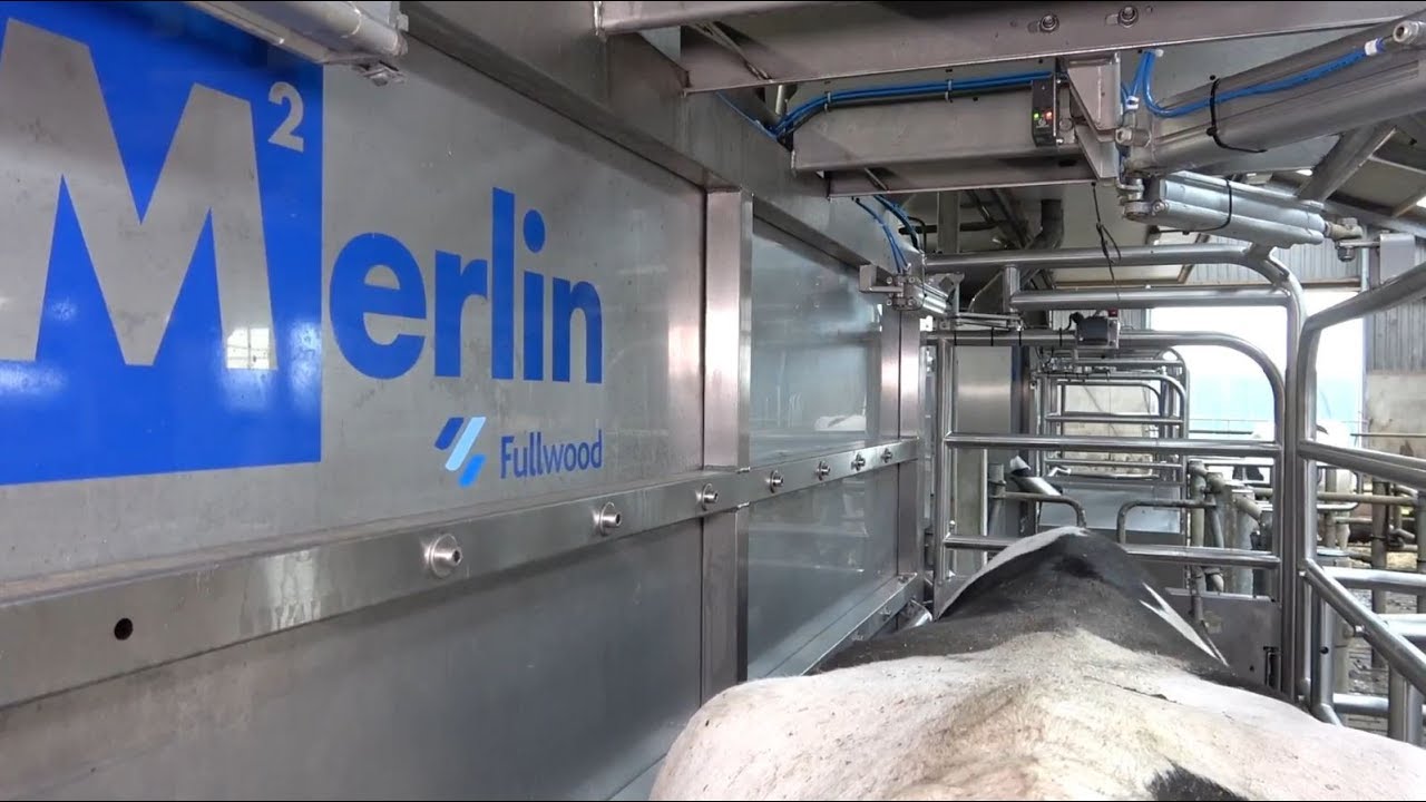 M2erlin - Step by Step