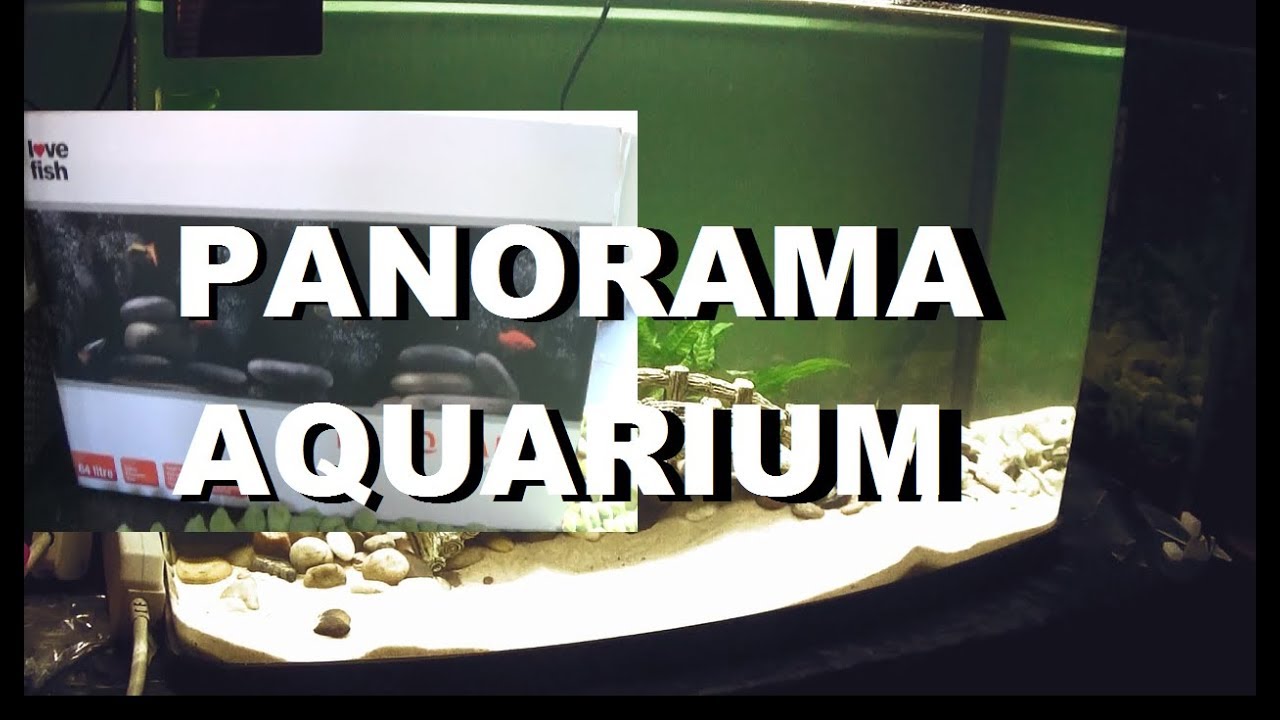 love fish panorama aquarium - unboxing