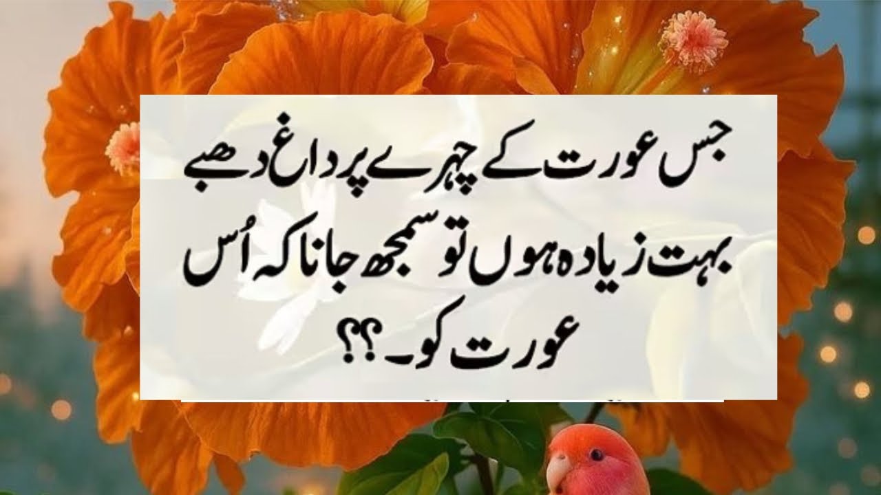 Life Changing Quotes In Urdu | Bano Qudsia Husband Wife Quotes 🥀| Successful  Motivational Lines