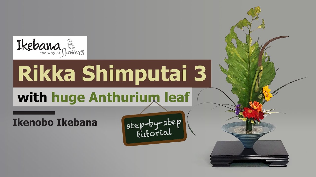 Rikka Shimputai 3 step-by-step tutorial | Ikenobo Ikebana [Japanese flower arrangement]