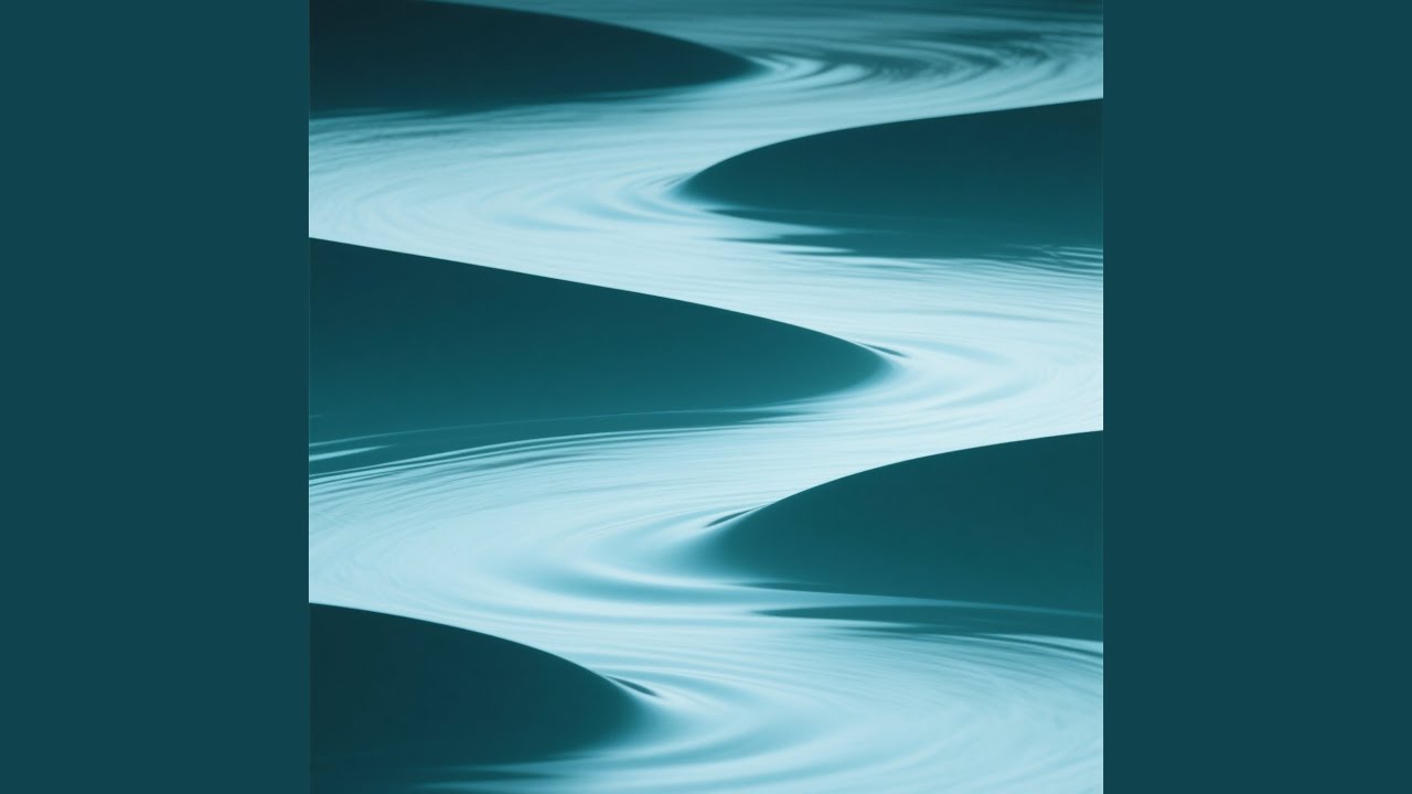 Dance Velocity 2026