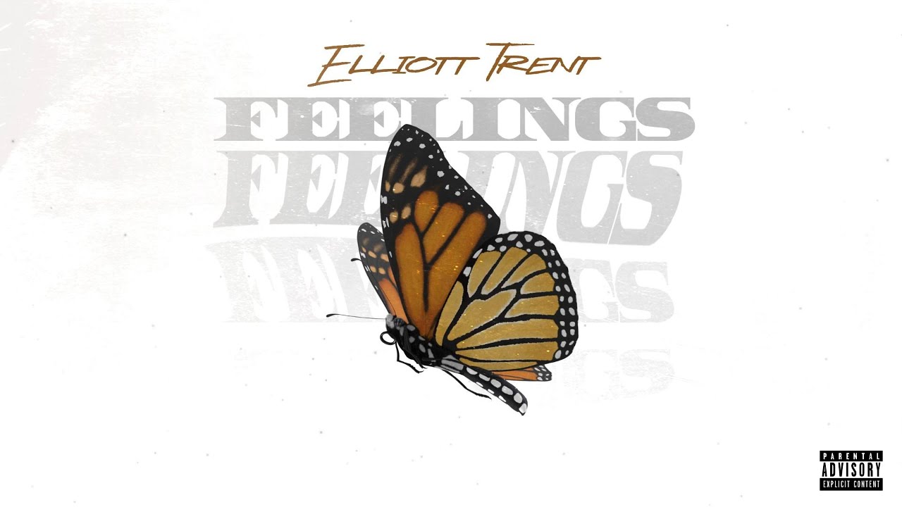Feelings