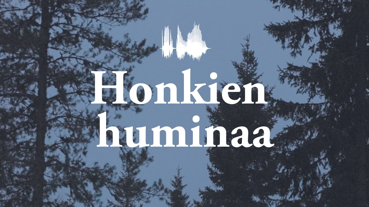 30 minuuttia tuulen kohinaa rentoutumiseen