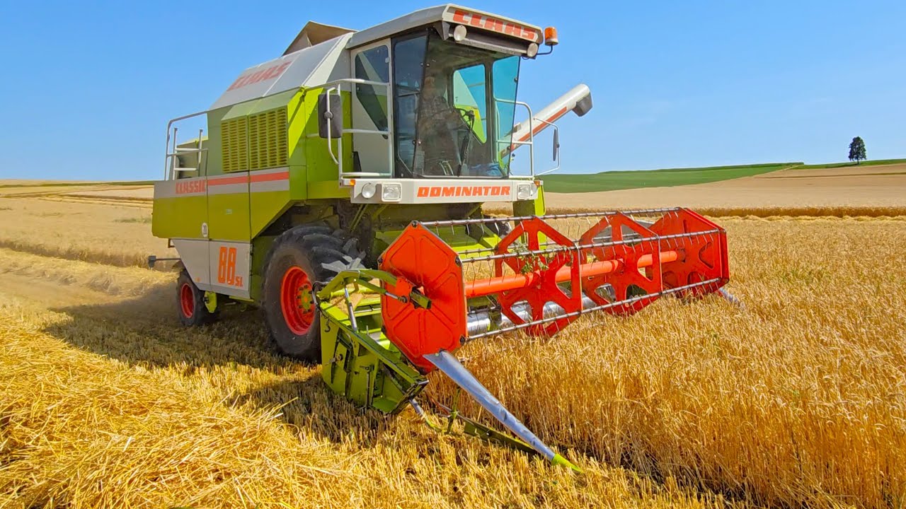 Claas Dominator 88 SL Classic Mähdrescher C 390 bei Gerste dreschen 2024 mit Farmer 104 S Turbomatik
