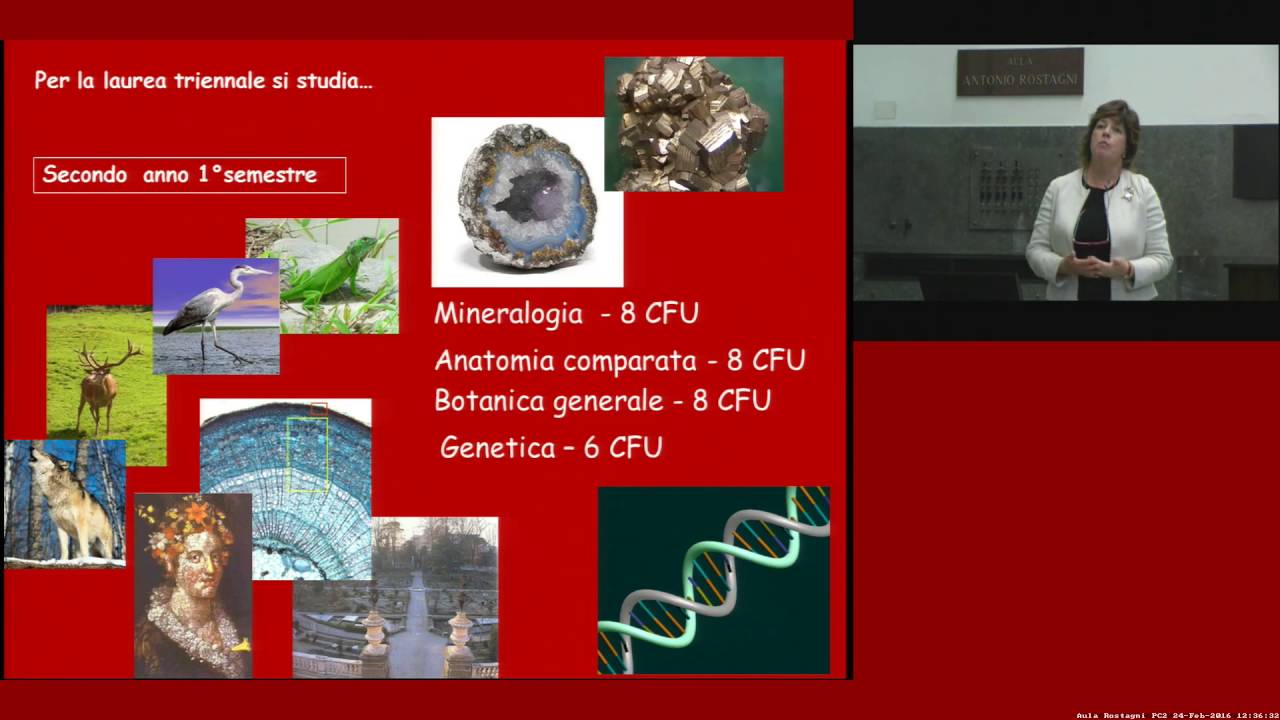 Corso di Laurea in Scienze Naturali - Orientamento - Scuola di Scienze