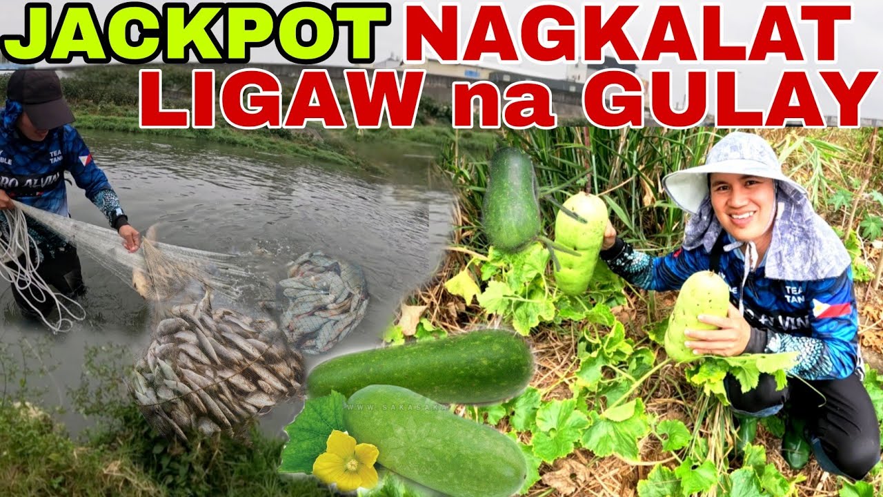 Nagkalat naman ang Ligaw na gulay binalikan namin at jackpot