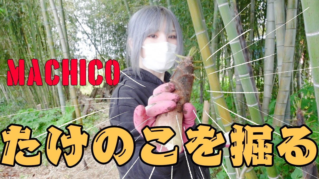 Machico、たけのこを掘る【農業声優】