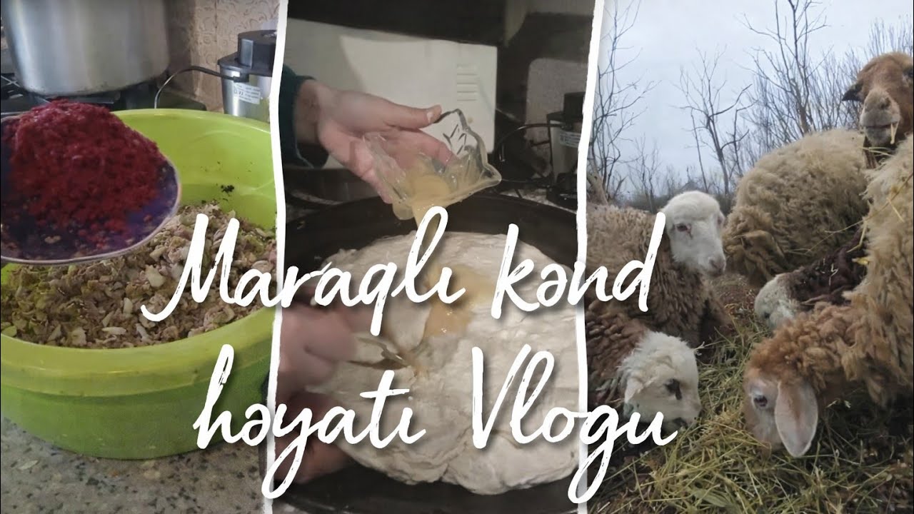 Maraqlı kənd həyatı vlogu | Ev vlogu | Mətbəxt  Təmizliyi | kənd evi | kənd havası #köyvlogu #keşfet
