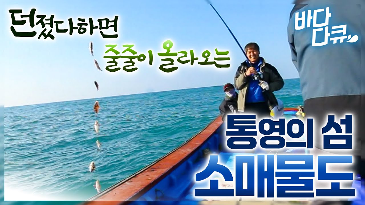 노력도 필요 없다! 어자원이 너무 풍족해 던졌다하면 줄줄이 올라오는 통영의 섬 / 소매물도 / #바다다큐