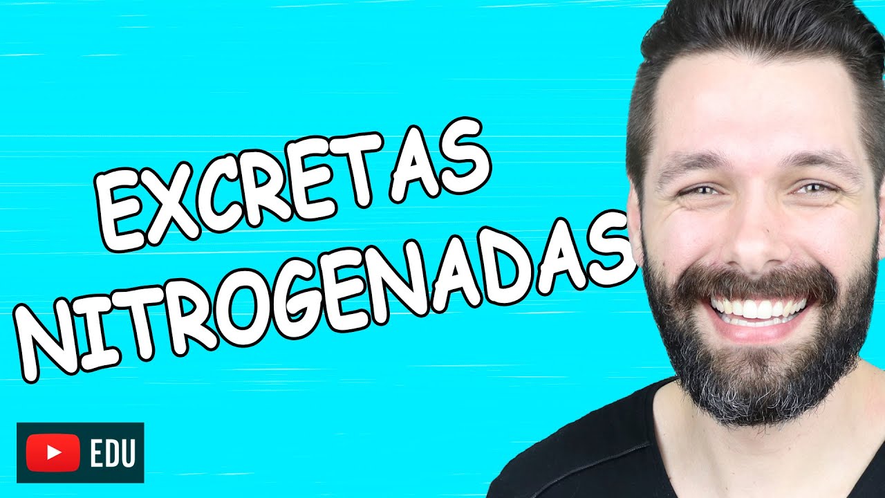 EXCRETAS NITROGENADAS - Am&ocirc;nia, Ur&eacute;ia, &Aacute;cido &Uacute;rico | Biologia com Samuel Cunha