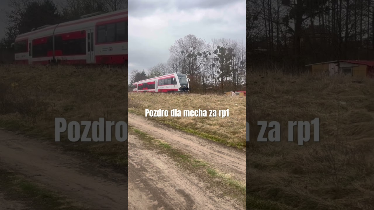 Manewry SA132-008 do PUT Wągrowiec