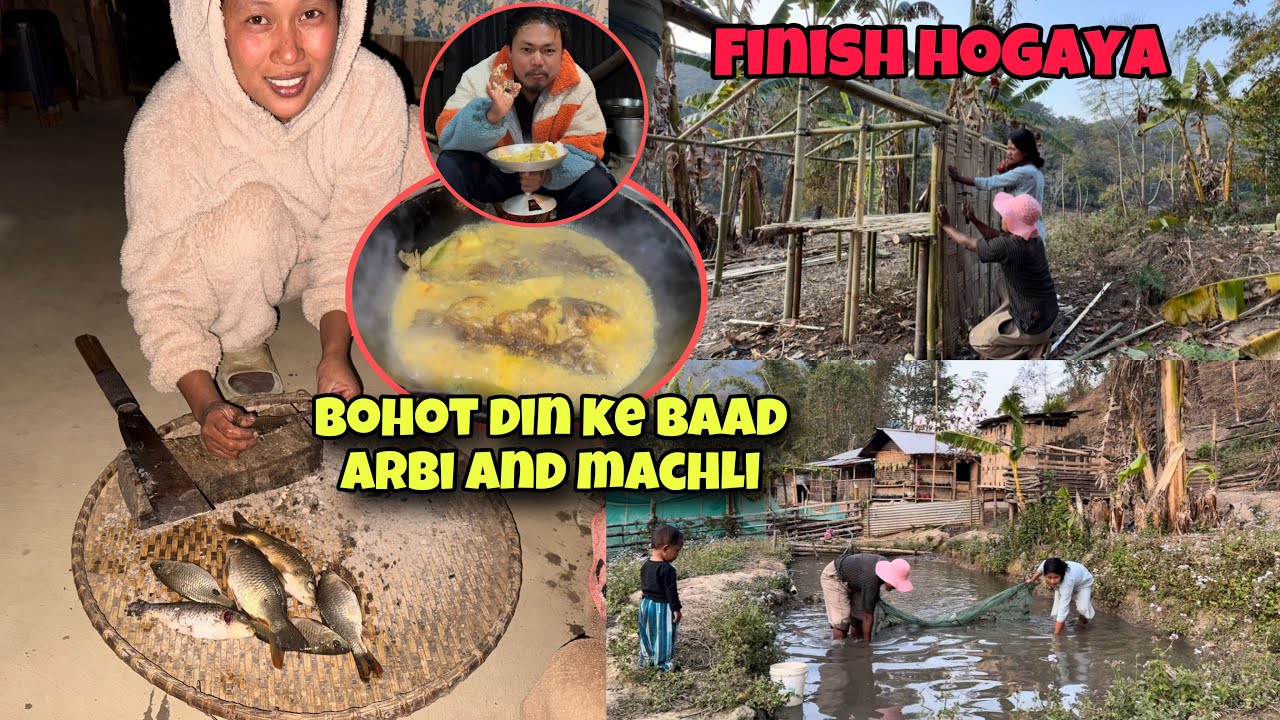 Bohot Din Ke Baad Arbi Aur Machli || Murgi Ki Ghar Finish Hogaya 