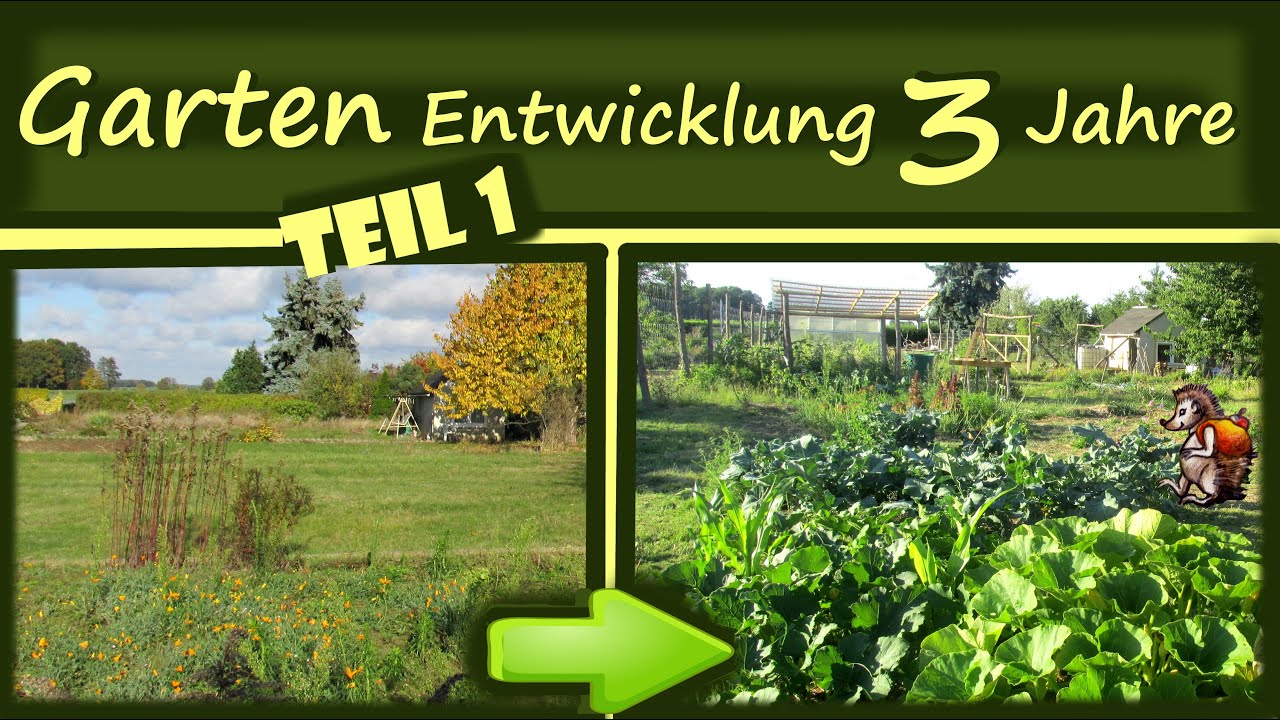 Garten Entwicklung in 3 Jahren│ Garten anlegen Teil 1