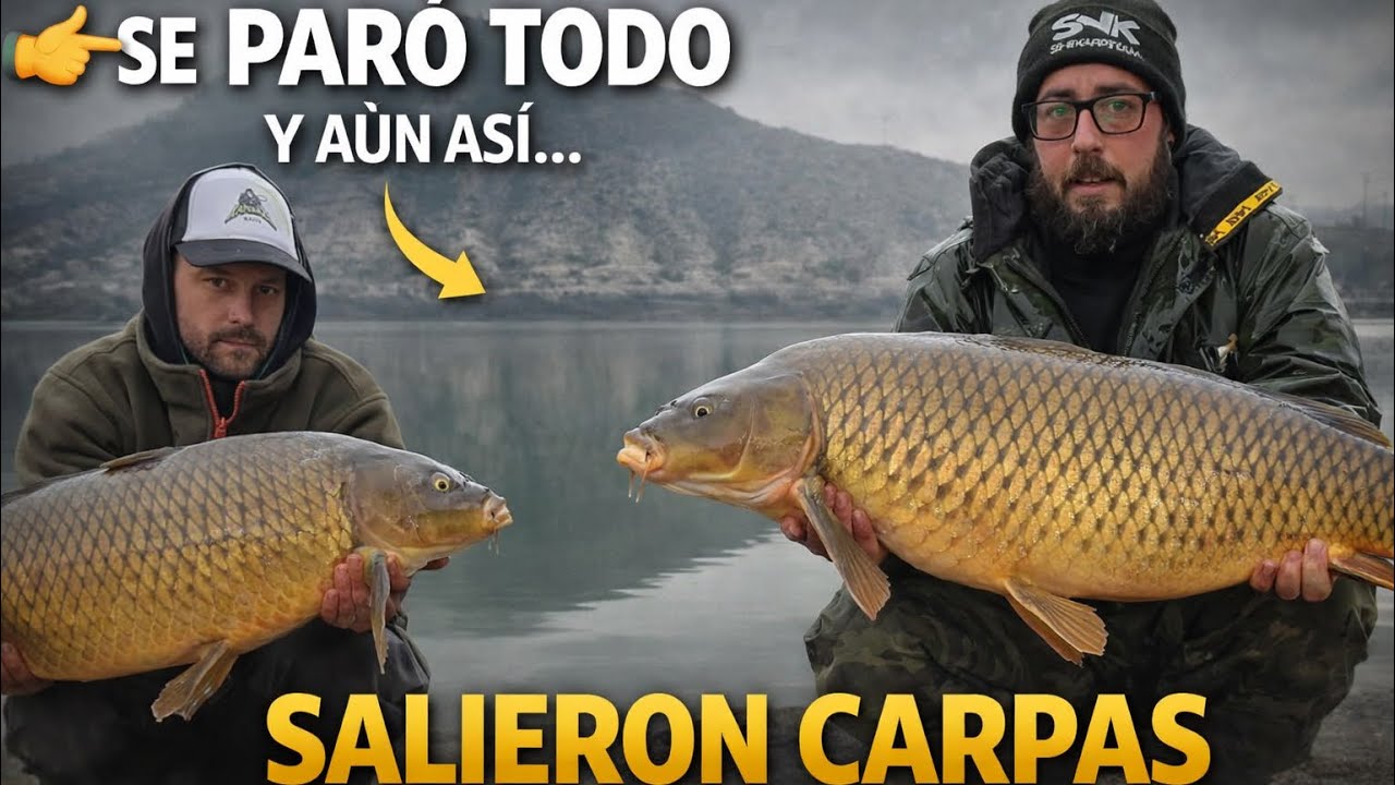 Invierno en Mequinenza: días cortos, niebla y la pesca REAL