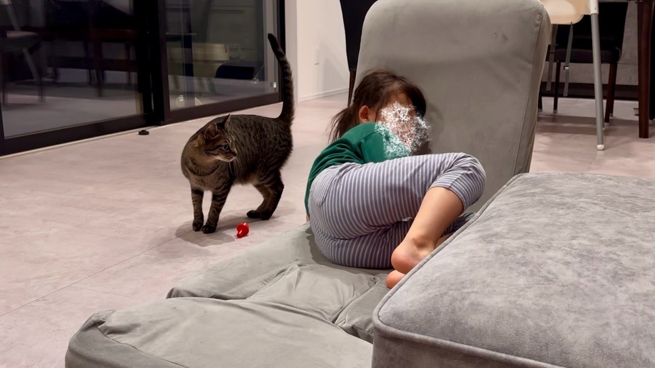 不機嫌な6歳の娘を見て心配した猫がこうなりました