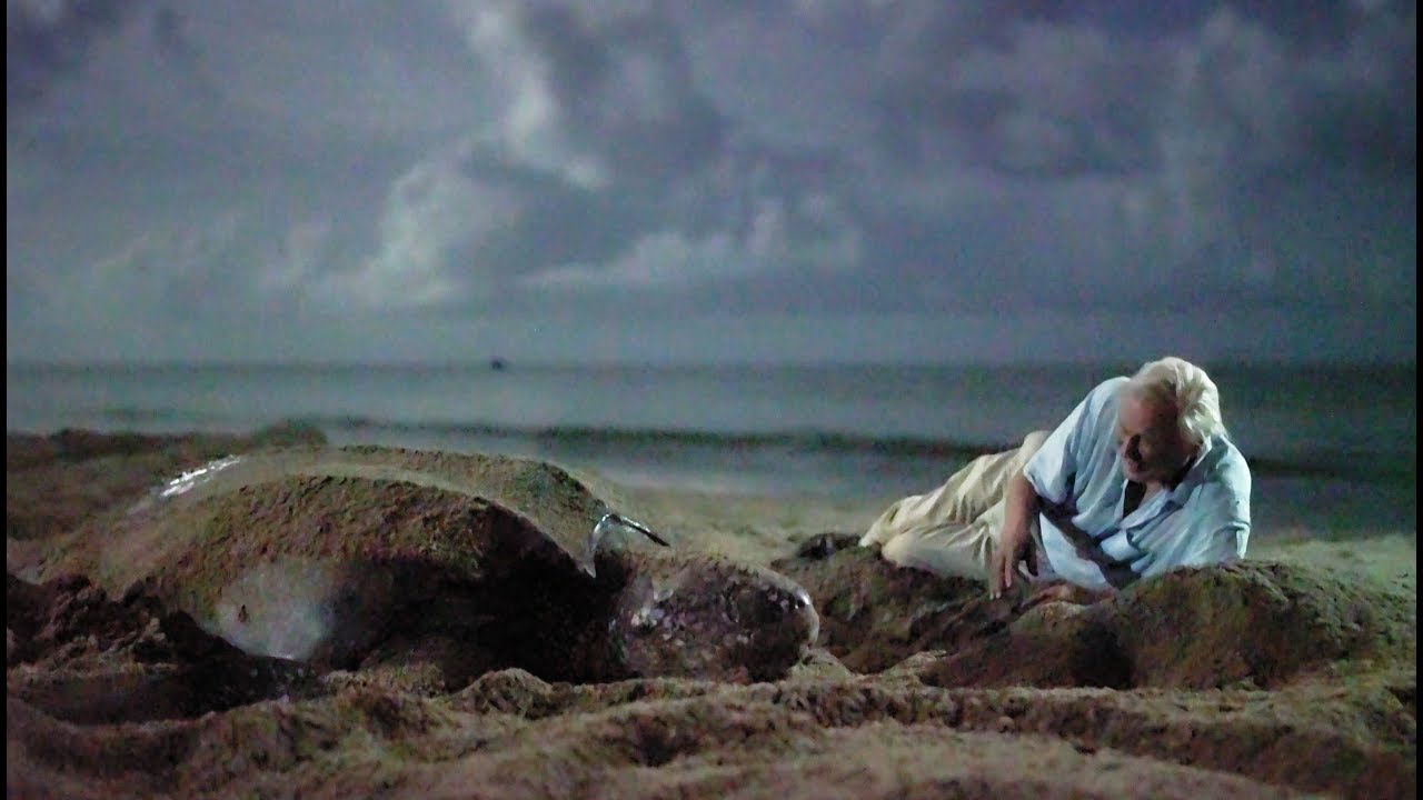 Saving Leatherback Turtles In Trinidad | Blue Planet II