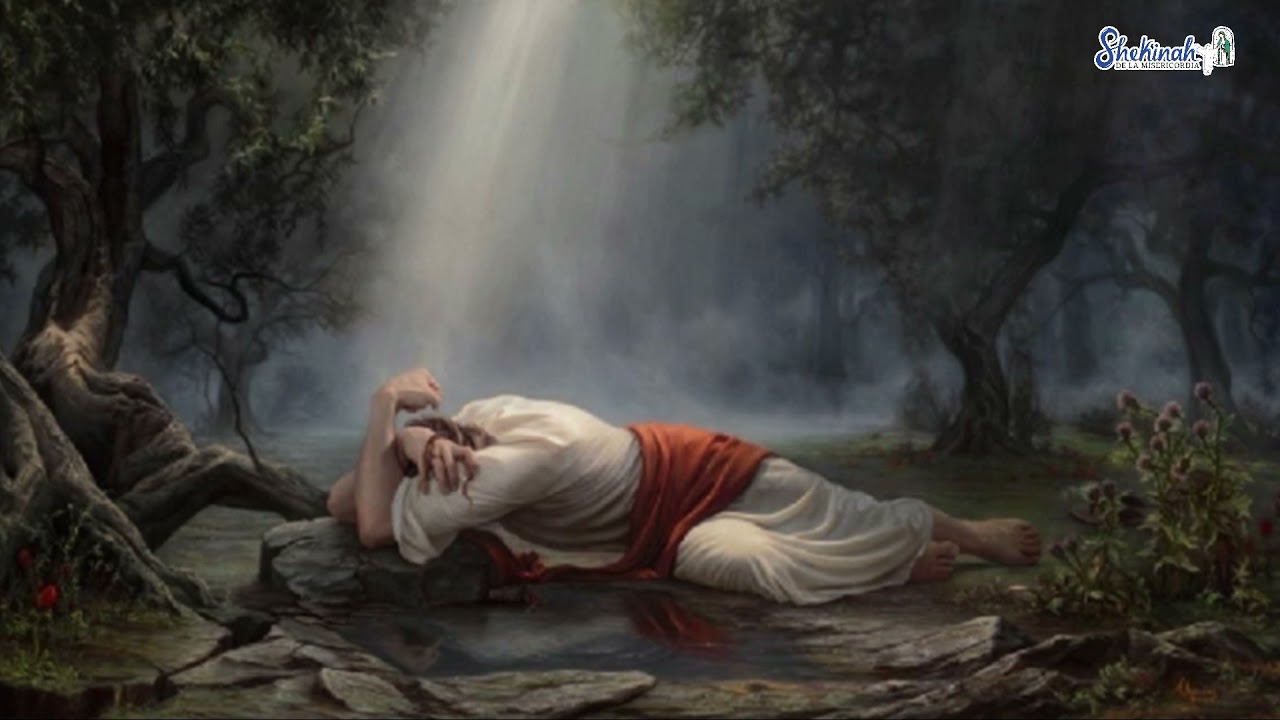 Jesús en el huerto de los olivos Ana Catalina Emmerick - Comunidad Shekinah de la Misericordia