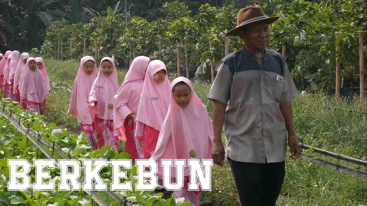 Berkebun.. Kunjungan Edukatif kelas satu || SDIT AL HANIF 2019