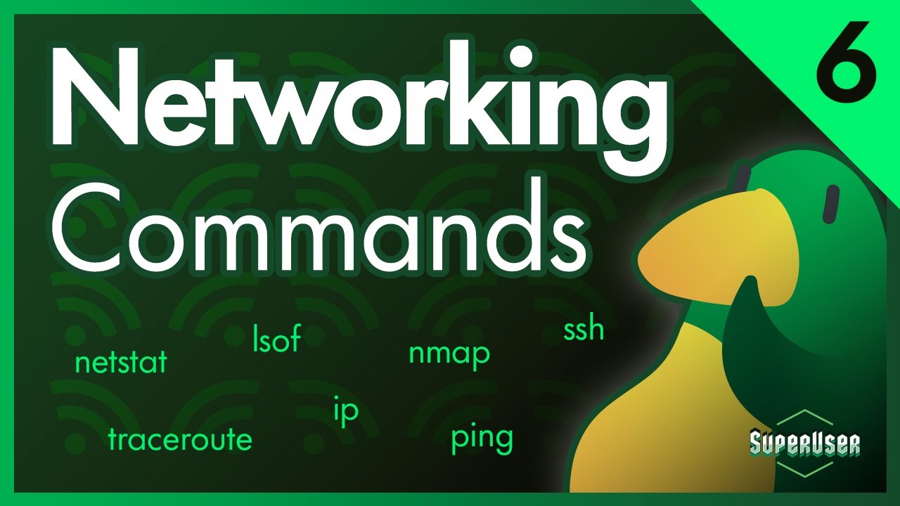 Linux для программистов №6 | Сетевые команды