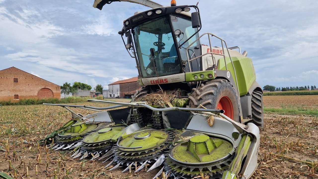 ceroso 2024 con claas jaguar 970 x 5 massey fergusson