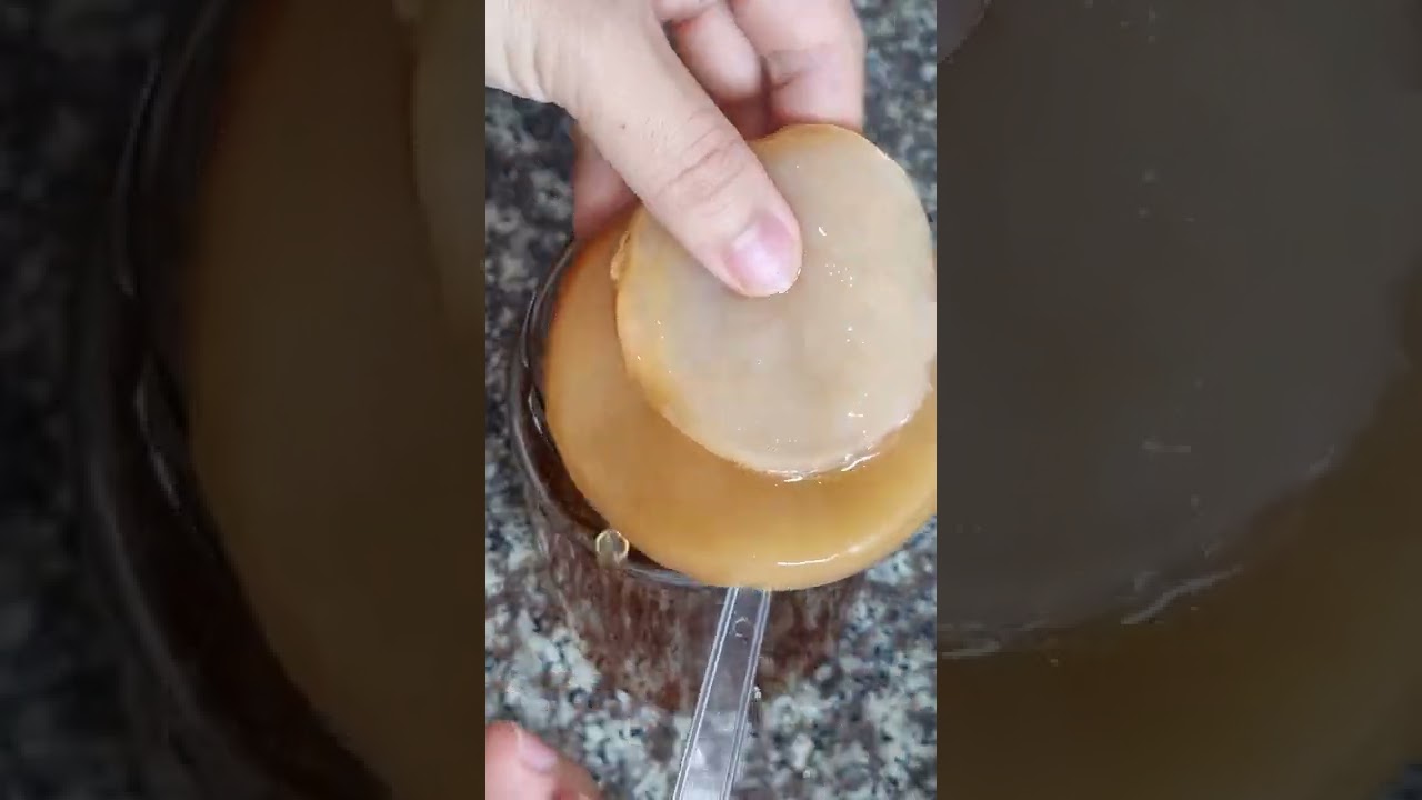 C&aacute;ch nu&ocirc;i scoby v&agrave; l&agrave;m tr&agrave; kombucha tại nh&agrave; si&ecirc;u đơn giản