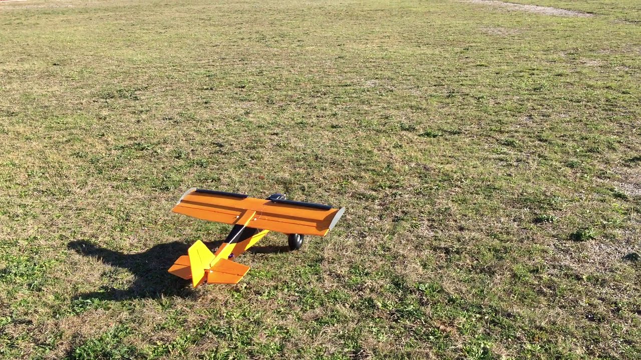 Buschtrottel rc plane