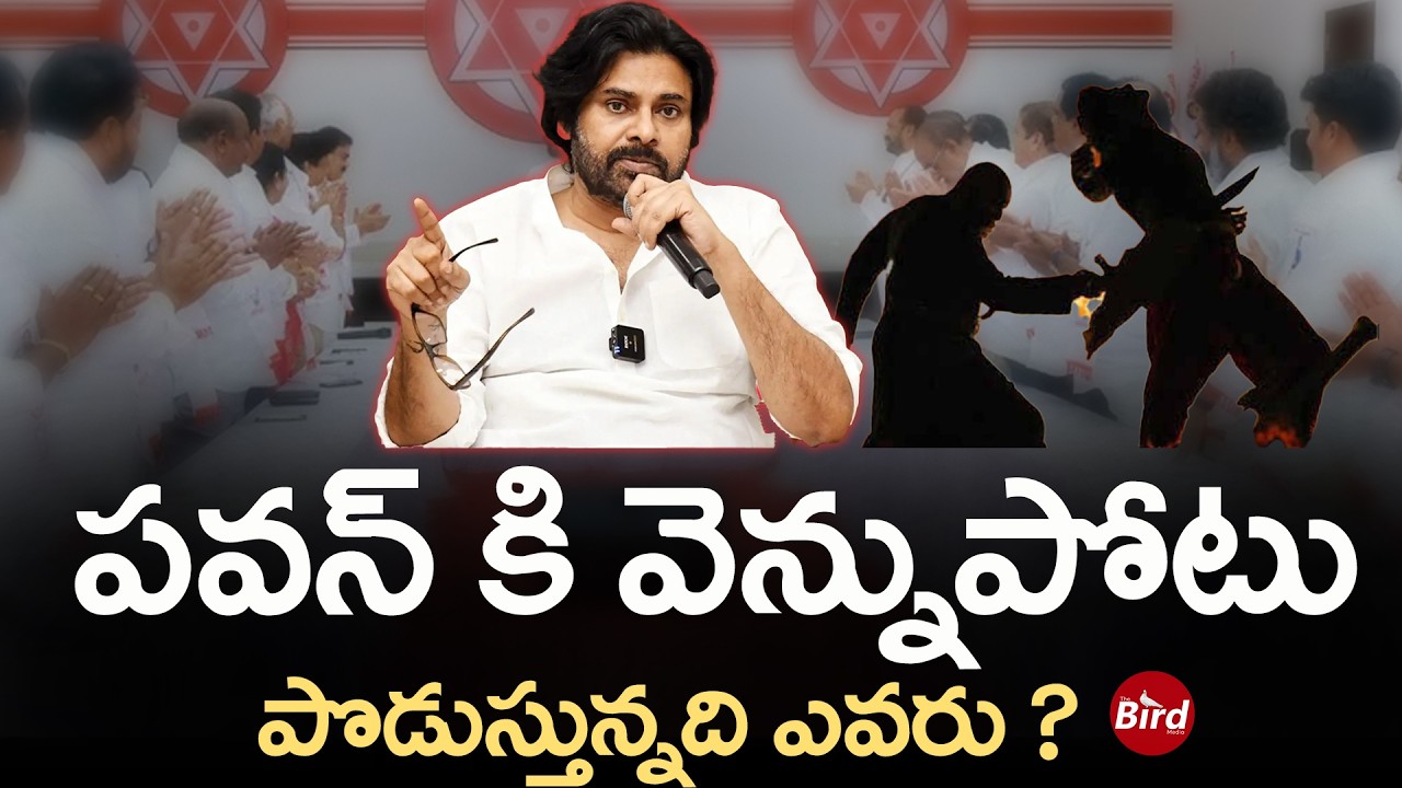 పవన్ కి వెన్నుపోటు పొడుస్తున్నది ఎవరు ? | Janasena Leaders BackStabbing On Pawan Kalyan | Bird Media