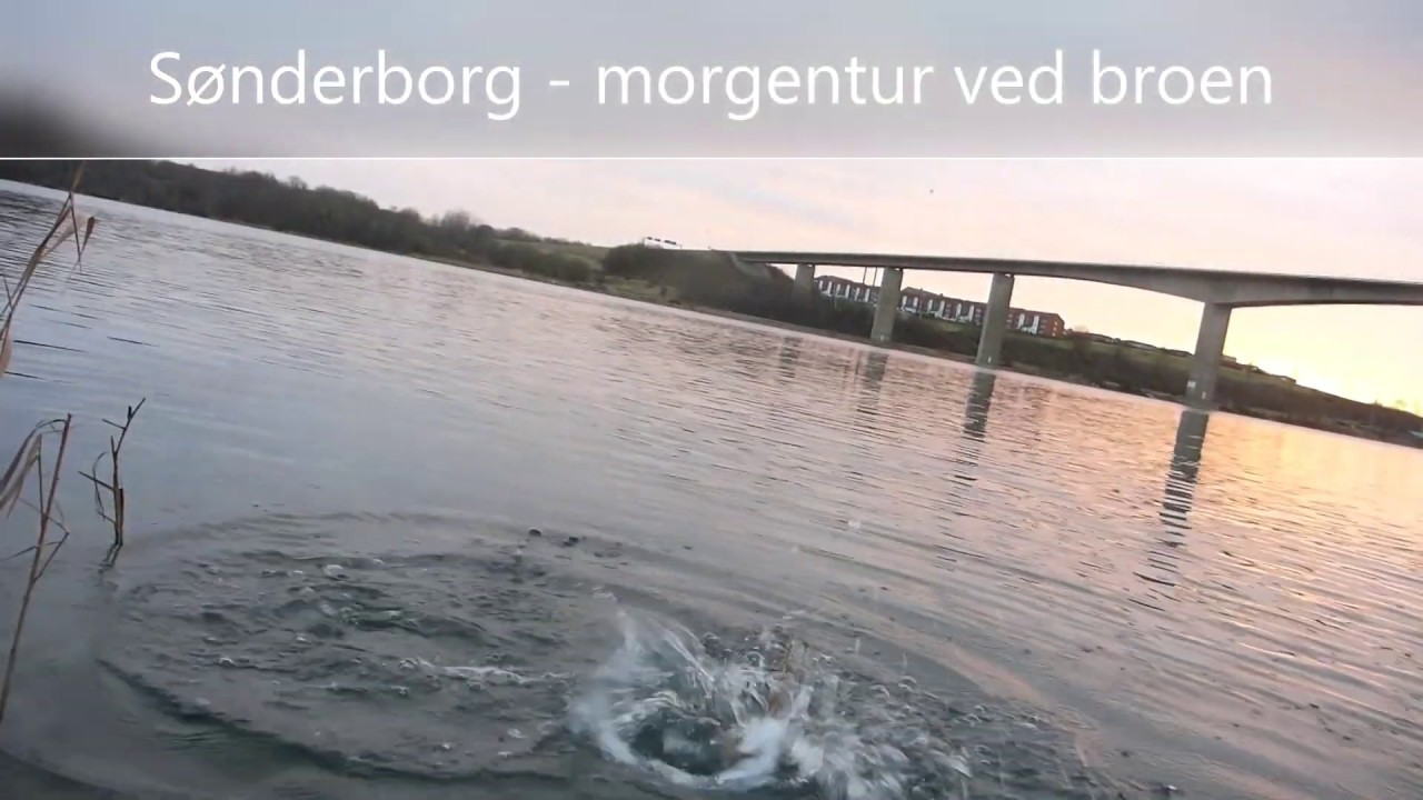 Als Sund - morgentur d. 05 - 01 - 2020