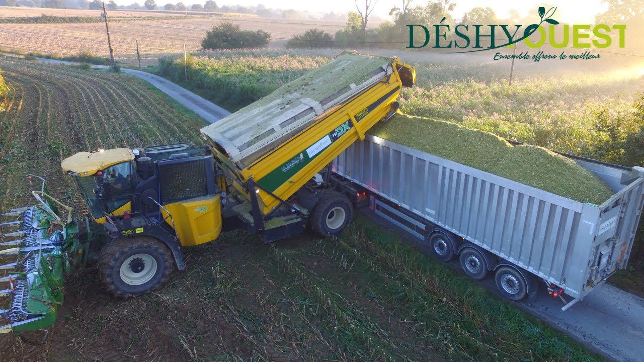 Un Monstre de puissance à l'ensilage de maïs 🌽 2021 - PRO DX V12 de 1200 chevaux 💨 DÉSHYOUEST