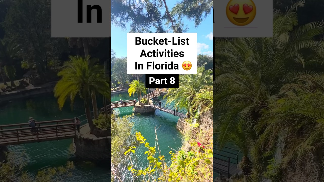 Put Silver Glen Springs on your Florida bucket list! #floridasprings #ocala #floridatravel