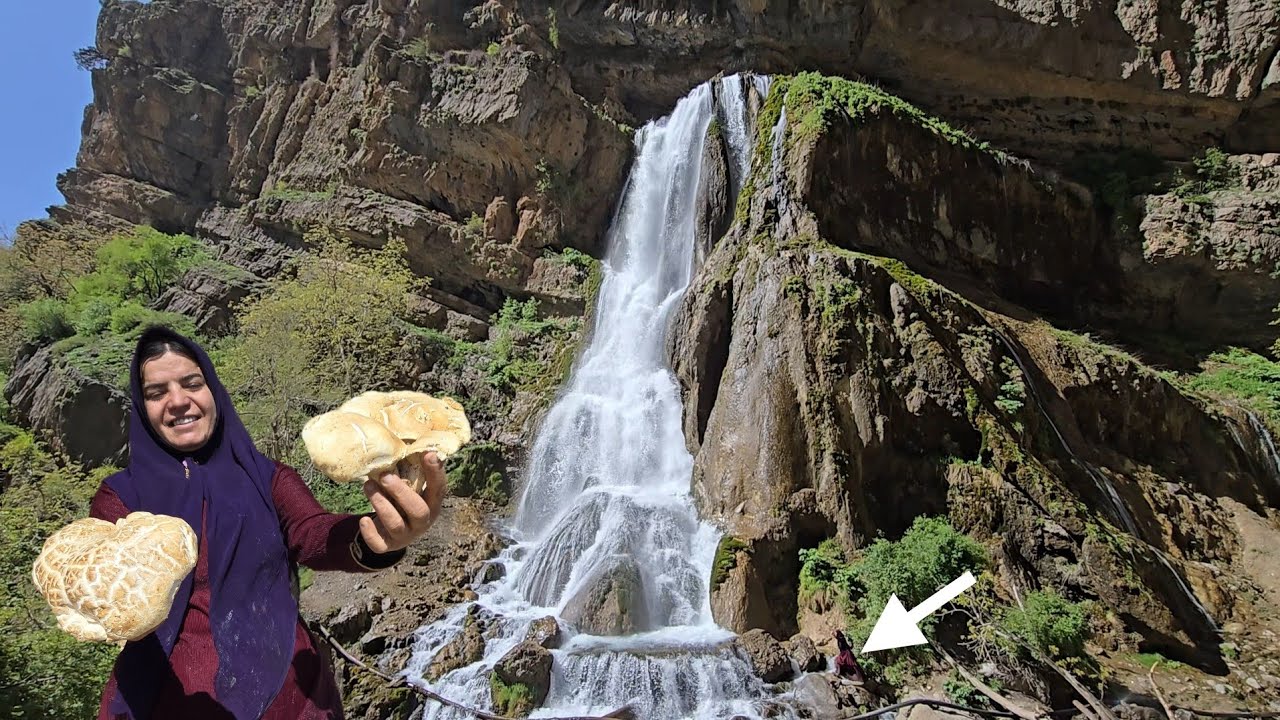 🍄🌊 A trip to the mountains: picking rare plants and mushrooms and 🐢🏞️ discovering turtles